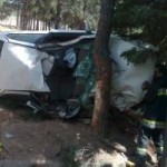 تصادف یک زن با درخت