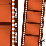 شیطان شلوار لی می پوشد