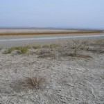 تالاب گاو خونی