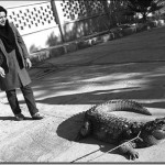 زن پرورش دهنده تمساح