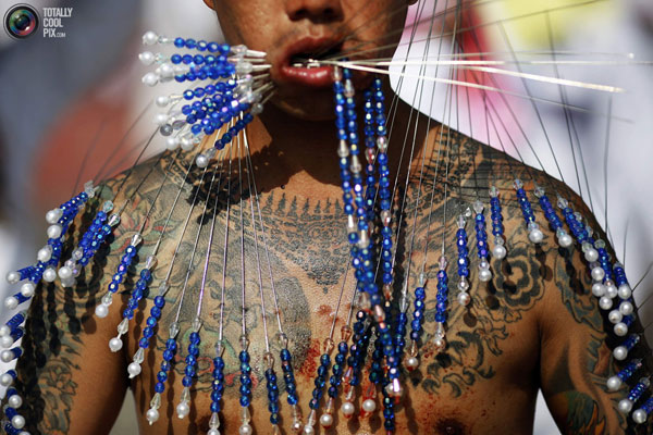 عکس های جشنواره گیاهان خواران