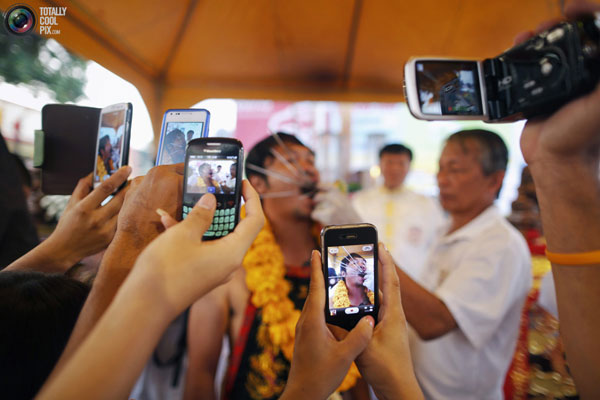 عکس های جشنواره گیاهان خواران
