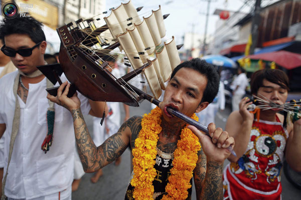 عکس های جشنواره گیاهان خواران