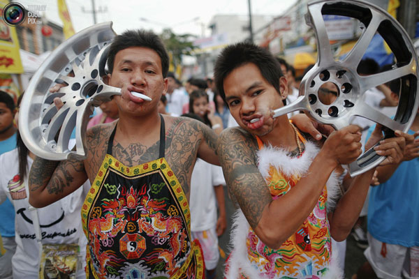 عکس های جشنواره گیاهان خواران