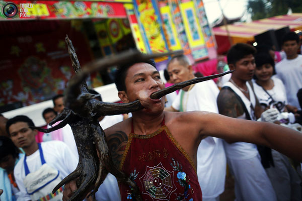 جشنواره گیاه خواران