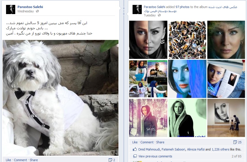 فیس بوک پرستو صالحی